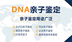 荆州哪个医院能办理DNA亲子鉴定，荆州医院办理DNA亲子鉴定条件和材料
